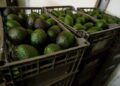 Вооруженный мужчина убил мексиканскую блогершу во время прямой трансляции. Вооруженный мужчина убил мексиканскую блогершу во время прямой трансляции.