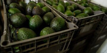 Вооруженный мужчина убил мексиканскую блогершу во время прямой трансляции.