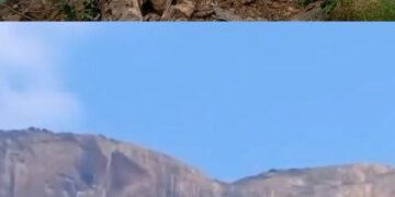 Пять американцев и глава разведки Эквадора погибли в результате крушения вертолета в Кении.