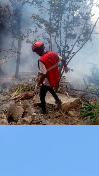 Пять американцев и глава разведки Эквадора погибли в результате крушения вертолета в Кении.