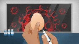 FDA одобрило первую мРНК-вакцину против гриппа для применения у пожилых людей. Вот что нужно знать.