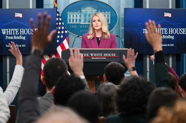 Почему Каролину Ливитт Трампу, возможно, не удастся заменить.
