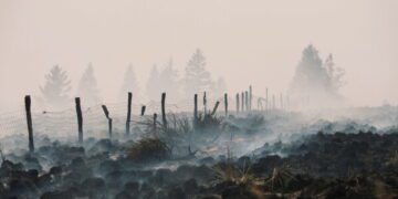 Лесные пожары обнажают — и приводят в действие — зарытые бомбы и мины времен Первой и Второй мировых войн.