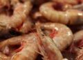 Почему на концерте поколения Z продают консервированную рыбу? Что стоит за взрывом популярности консервированной рыбы?